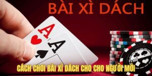 Cách chơi bài xì dách cho người mới