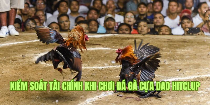 Chiến thuật không nên chơi quá độ hình thức đá gà cựa dao