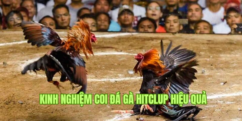 Mẹo hay giành thắng lớn với những màn chọi kề tại Hitclub