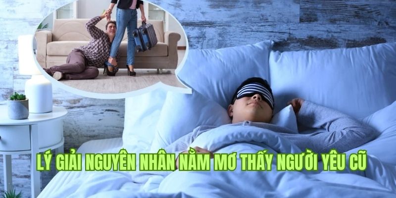 Giải đáp nguyên nhân thường nằm mơ thấy người yêu cũ