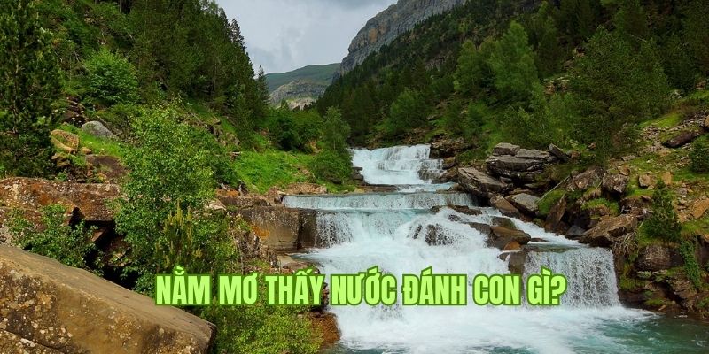 Nằm mơ thấy nước đem đến cơ hội đổi đời qua những con số gì? 