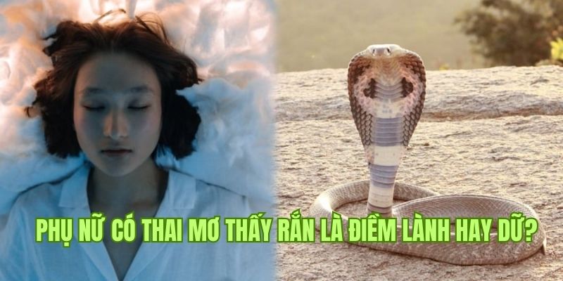 Thông điệp tốt đẹp khi phụ nữ có thai nằm mơ thấy rắn