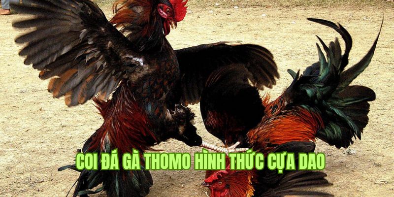 Hình thức chiến đấu sử dụng cựa dao thu hút người chơi